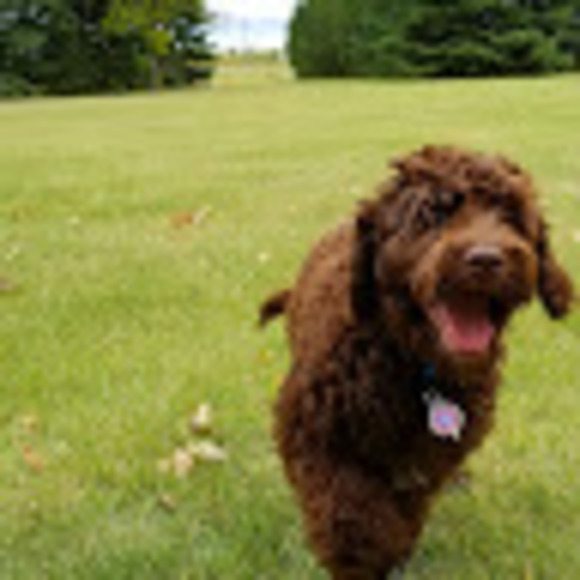 Meet your Posher, Becky - Picture 1 of 1